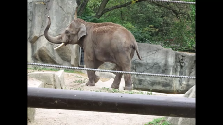 SnapshotADayAtTheZoo