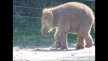 Frankie At The Columbus Zoo