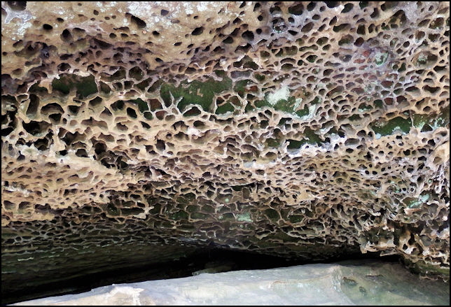 Honey comb erosion in the sandstone cap.
