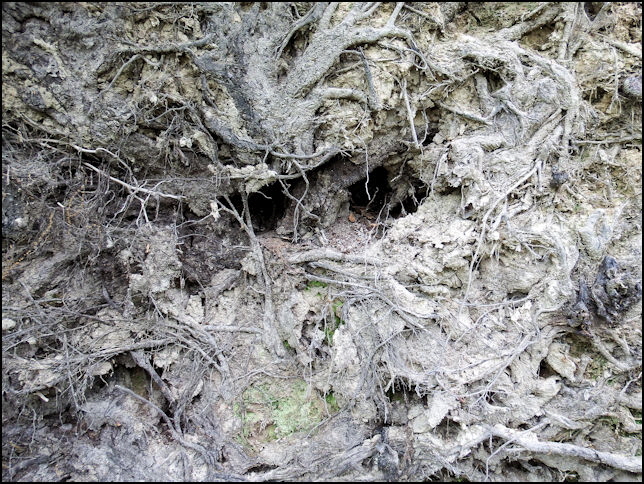A scowl from the Underlands.