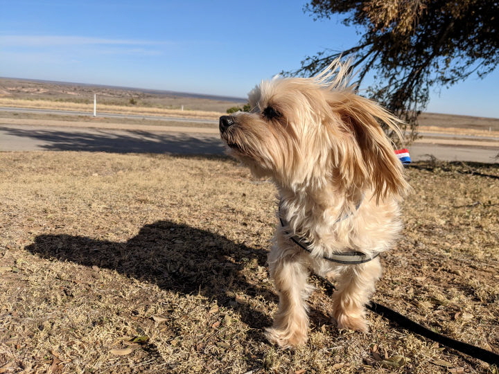 Macy in the Texas panhandle.