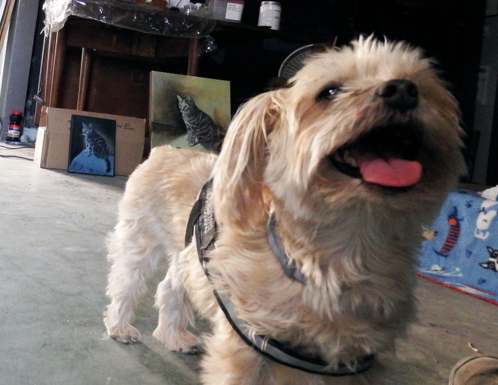 Macy and two of Dave's painting of Sigurd.