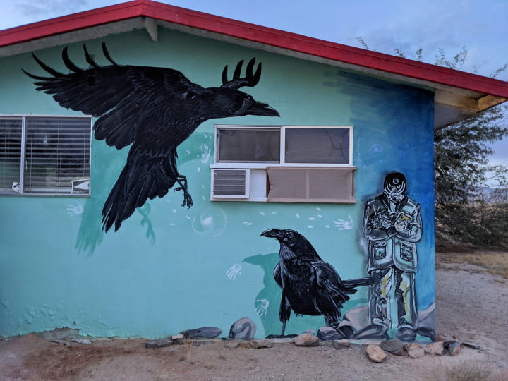 Ravens and Jim Beoddy on the side of Dave's house.