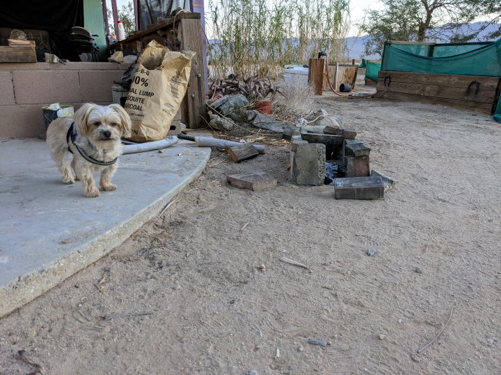 Macy helps me start a fire.