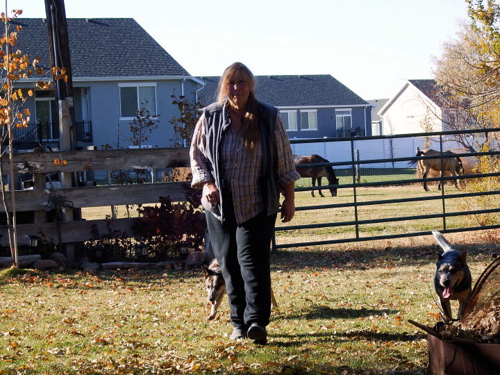 Cheryl, her canines and equidae.