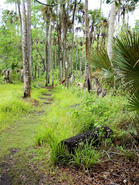 Hontoon Island