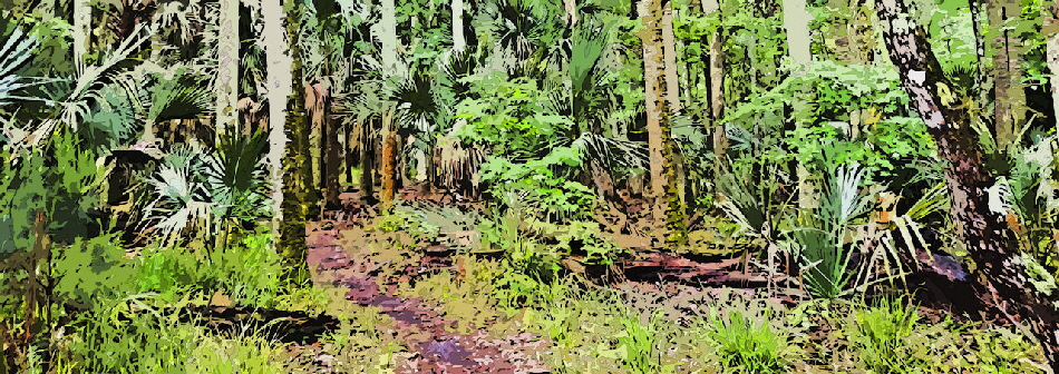 Ever Deeper Into The Swamp