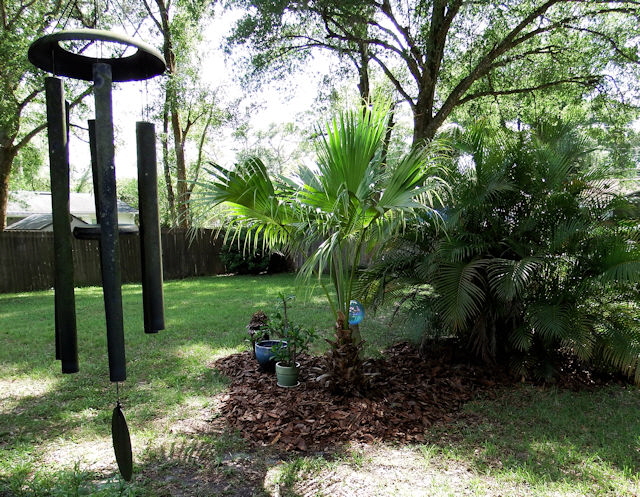 Paul and Holly's back yard. I stared into the crystal yard ball, but did not find enlightenment.