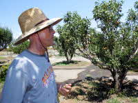 Dave gave me a tour of the 29Palms Inn garden.