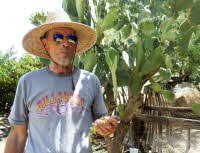 Gilbert (the gardener) said the grapes were ripe. Dave agreed.