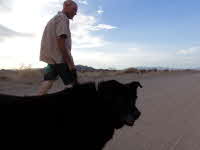 A photo from the dog's eye view.