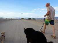 I started calling the dogs Big Chuck and Little John.